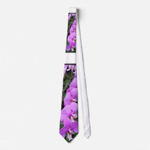 Cravate pourpre d'orchidée, photo florale