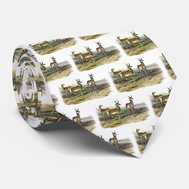 Cravate Pronghorn (Antelope à cornes longues) par Audubon (Roulé)