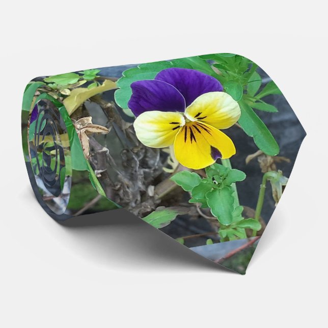 Cravate Purple et Yellow Pany (Roulé)