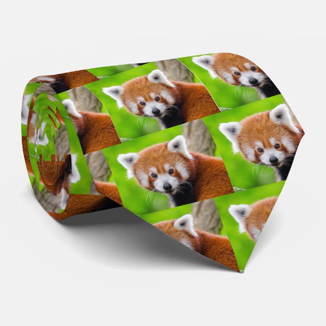 Cravate Red Panda (Roulé)