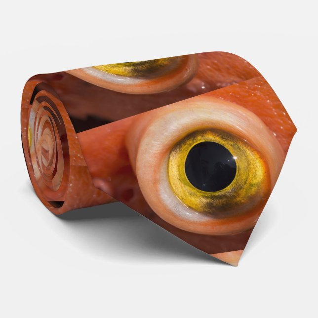 Cravate Rockfish Eye (Roulé)
