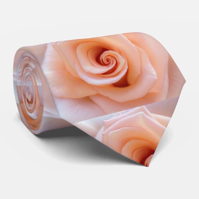 Cravate rose-851950 PEACH ROSE PHOTOGRAPHIE BEAUTY BACKGRO (Roulé)