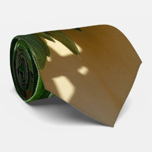 Cravate Sage frais coupé