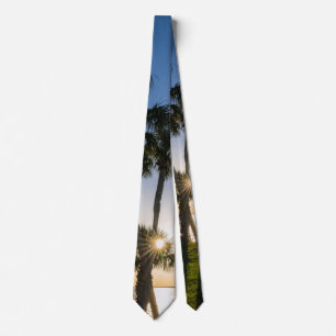 Cravate Silhouette Ciseaux Palm Tree