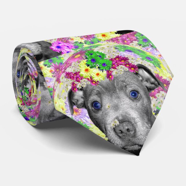 Cravate Staffordshire Bull Terrier Et Daisées, (Roulé)
