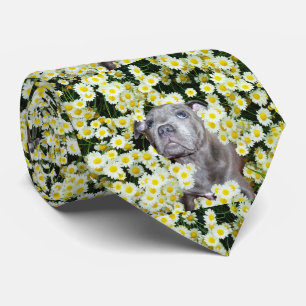 Cravate Staffordshire Bull Terrier Puppy Dans Les Fosses,