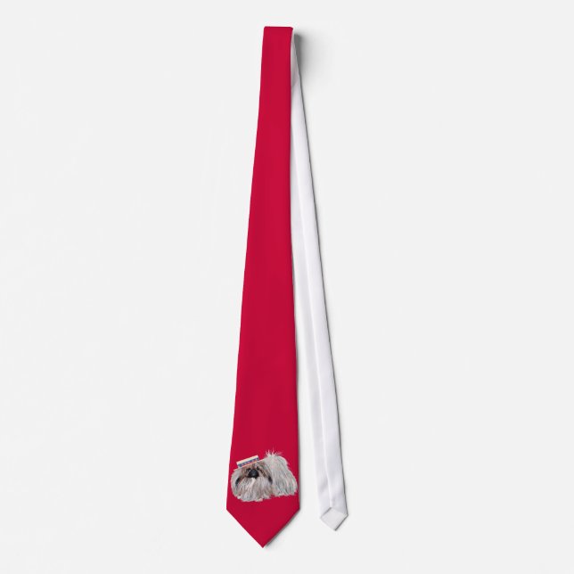 Cravate Tie patriotique de Pékin (Devant)