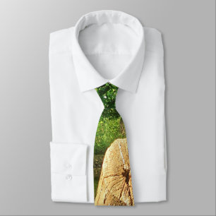 Cravate Tree Trunk Nature Photographie Parc du lac