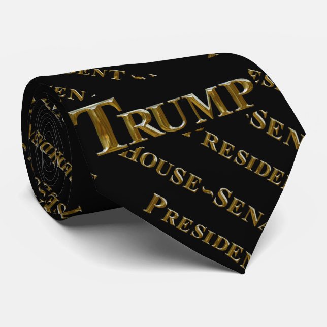CRAVATE TRUMP 2024 (Roulé)