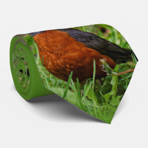 Cravate Un Curieux Robin Américain