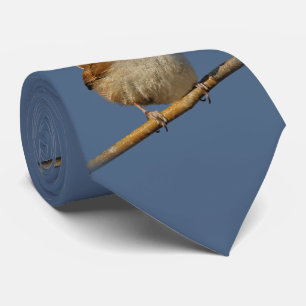Cravate Un curieux Wren de Bewick's Wren dans l'arbre