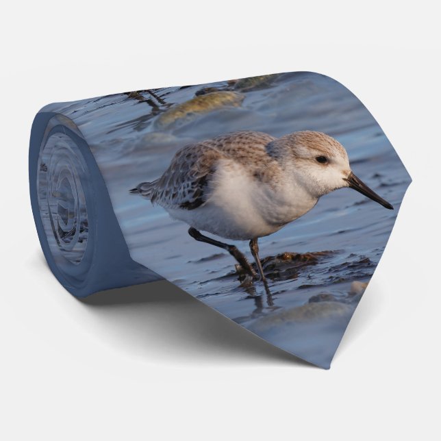 Cravate Un Sanderling (Roulé)