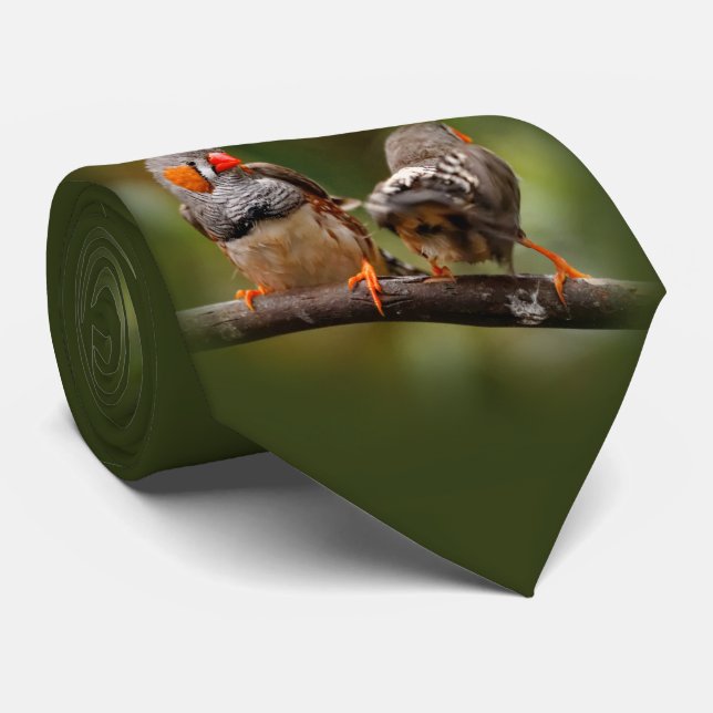 Cravate Une paire cochonne de Finches de Zebra (Roulé)
