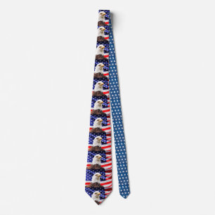 Cravate USA Patriotic NeckTie
