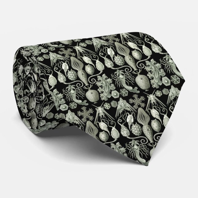 Cravate Vintage Haeckel négatif (Roulé)