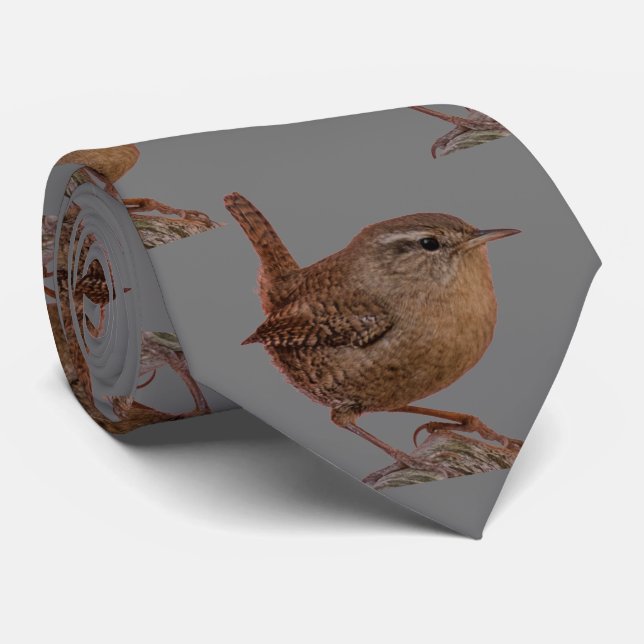 Cravate Wren (Roulé)