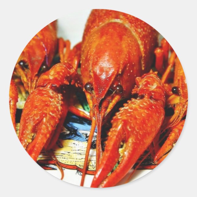 Crawfish Crawdads Craytfish Classic Round Sticker (Front)