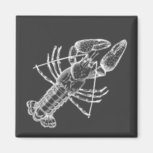 Crawfish Illustration white on black Magnet