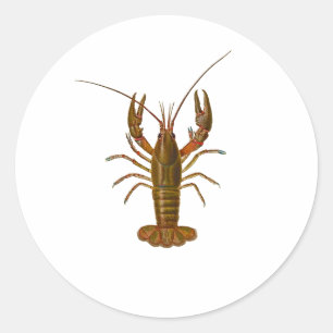 Crawfish Logo Classic Round Sticker