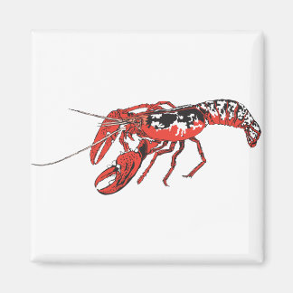 crawfish magnet