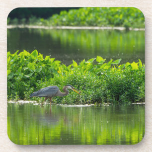 Crawfish Meal Time Coaster