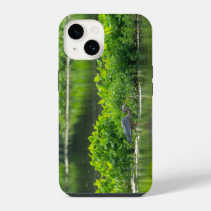 Crawfish Meal Time iPhone Case