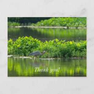 Crawfish Meal Time Postcard