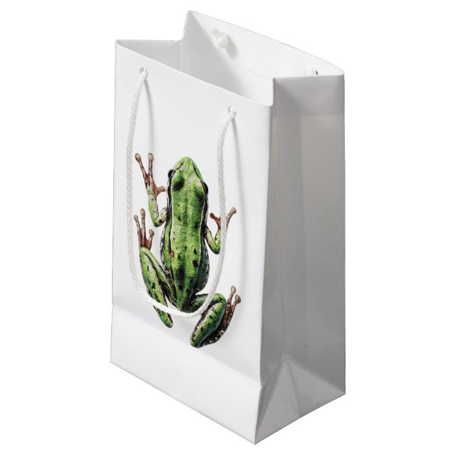 Crawling Frog Small Gift Bag (Front Angled)