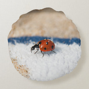 Crawling ladybug round pillow