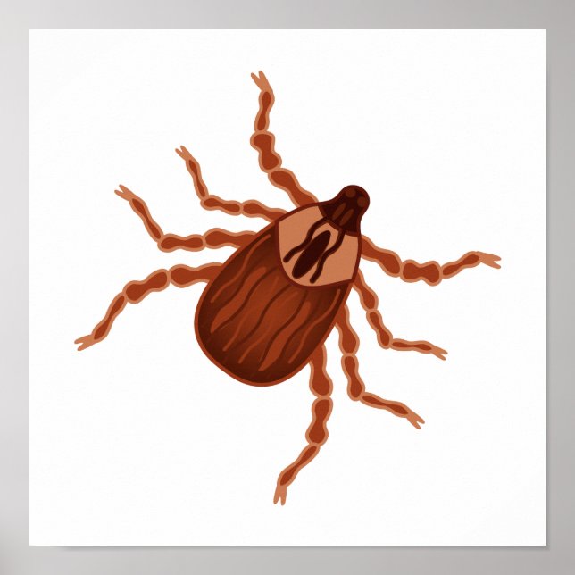 Crawly Realistic Tick Illustration Poster (Front)