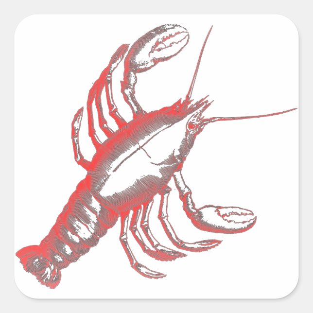 Crayfish Square Sticker (Front)