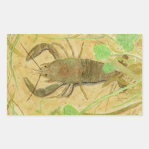 Crayfish Sticker
