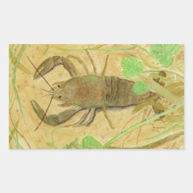 Crayfish Sticker (Front)