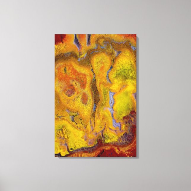 Crayola Jasper Canvas Print (Front)