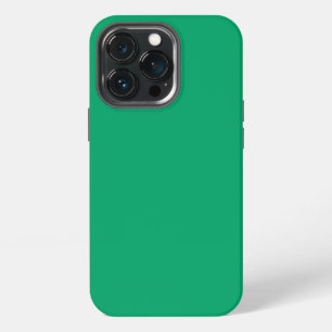 Crayon Color Green iPhone 13 Pro Case