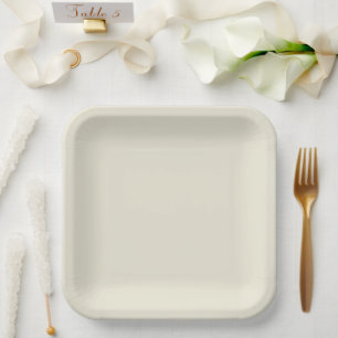 Crayon Colour White Square Paper Plate