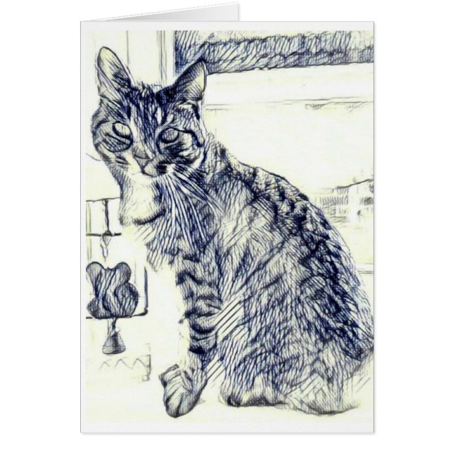 Crayonnez le croquis d'un chat sur une carte (Devant)