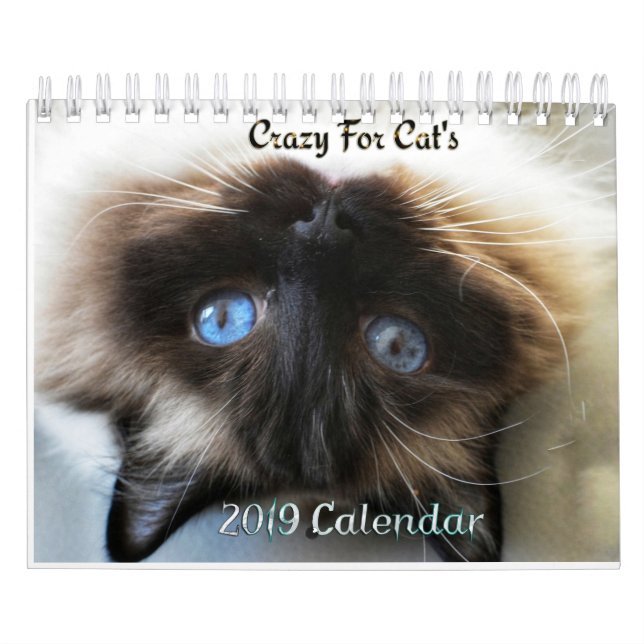 Crazy à propos du calendrier mural Cats 2023 (Protection)