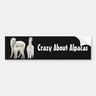 Crazy About Alpacas Bumper Sticker