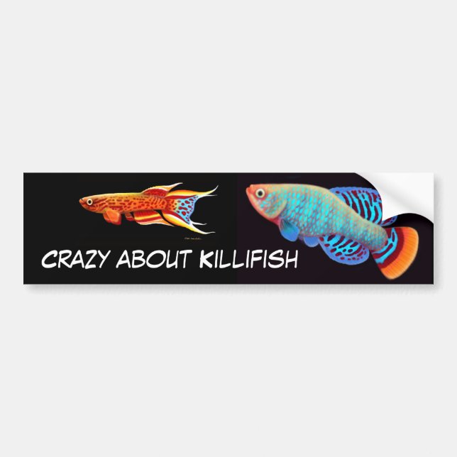 Crazy About Killifish Bumper Sticker (Front)