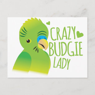Crazy budgie lady postcard