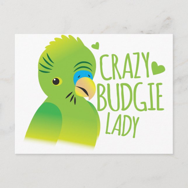 Crazy budgie lady postcard (Front)