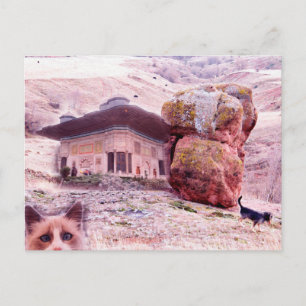 Crazy Carte Postale Chien Chat Drôle Collage