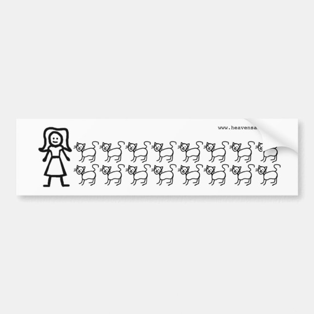 Crazy Cat Lady - Bumper Sticker (Front)