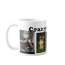 Crazy Cat Lady