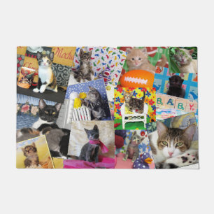 Crazy Cat Lady Doormat (24 X 36)