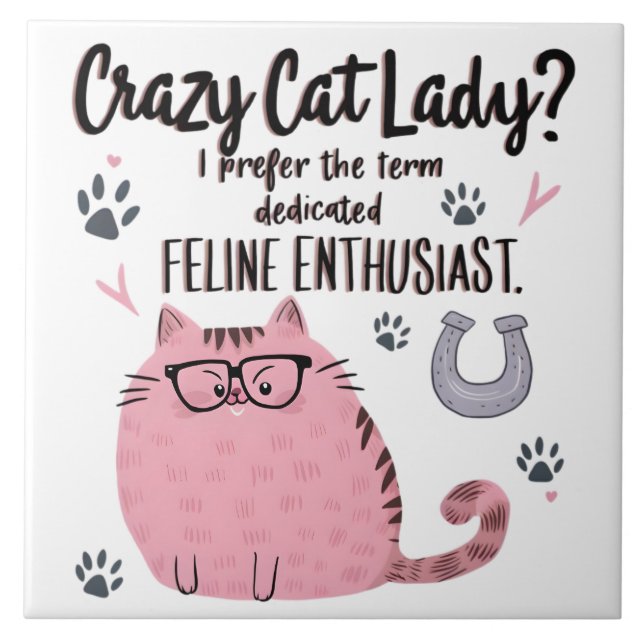 Crazy Cat Lady? Funny Cat Lover Gift  Tile (Front)