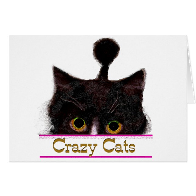 CRAZY CATS (Front Horizontal)