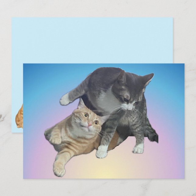 Crazy Cats - Taz and Tito Bandito (Front/Back)