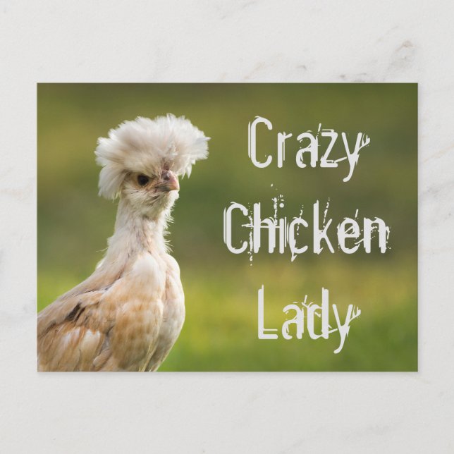Crazy Chicken Lady Postcard (Front)